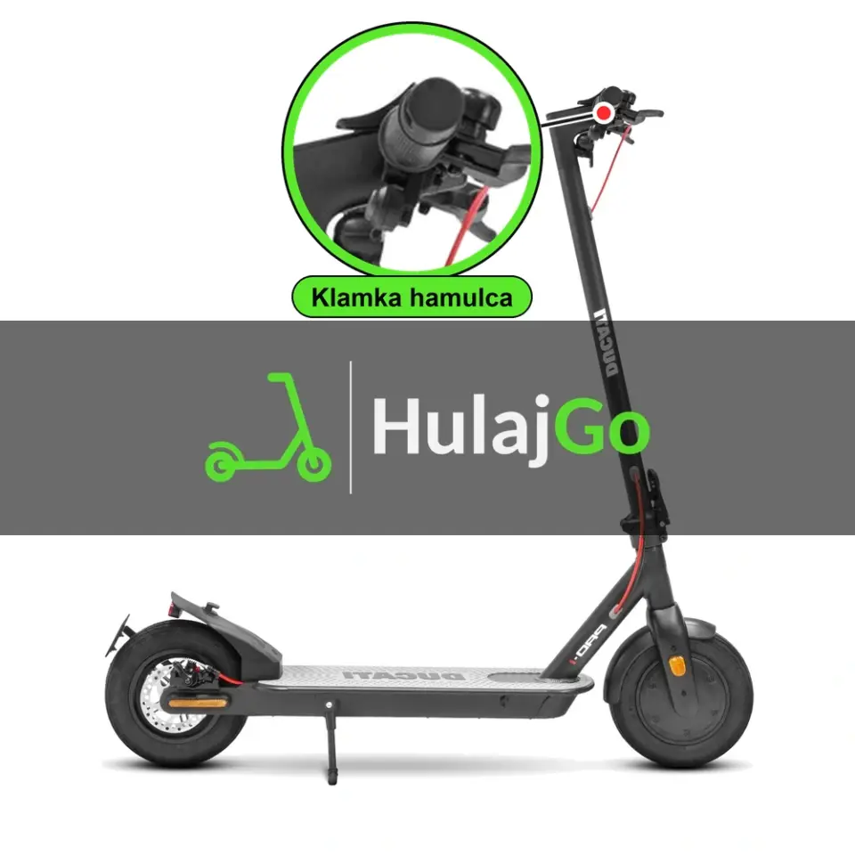 Ducati Pro-I - w powiększeniu klamka hamulca (wymiana klamki hamulca)