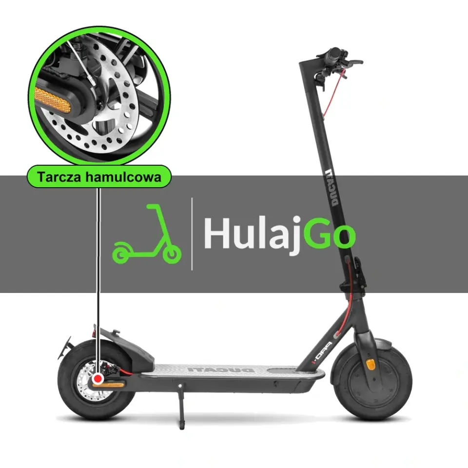 Ducati Pro-I - w powiększeniu tarcza hamulcowa (wymiana tarczy hamulcowej)
